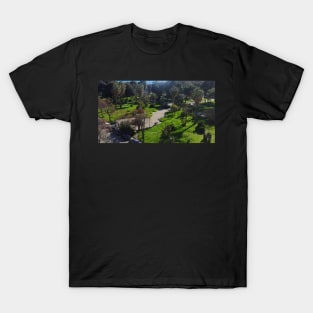 Green Oasis in Naples T-Shirt